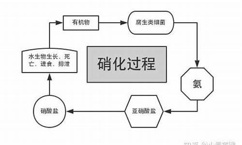 硝化系统有什么用-我的世界硝化系统吗